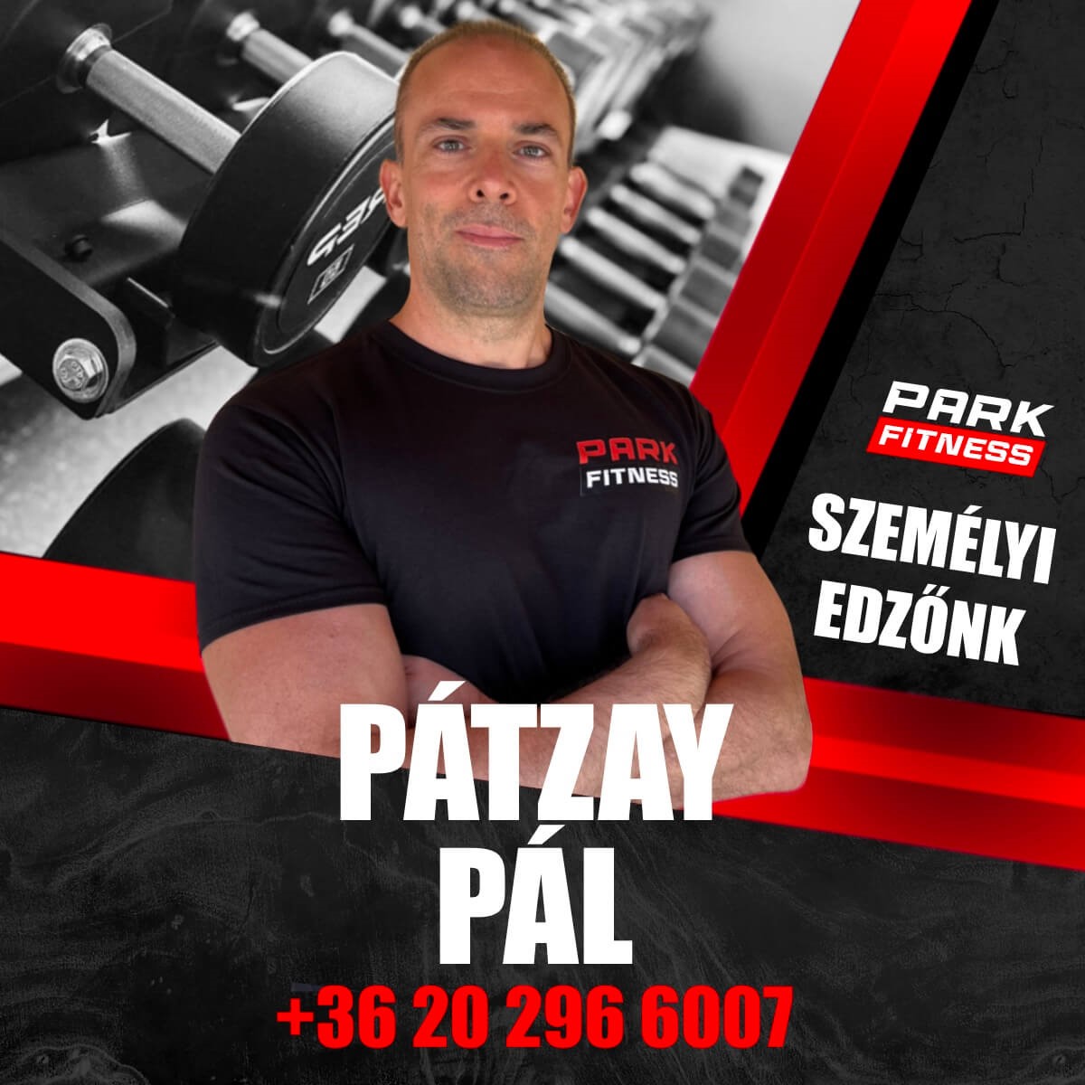 Személyi edző Park Fitness - Pátzay Pál